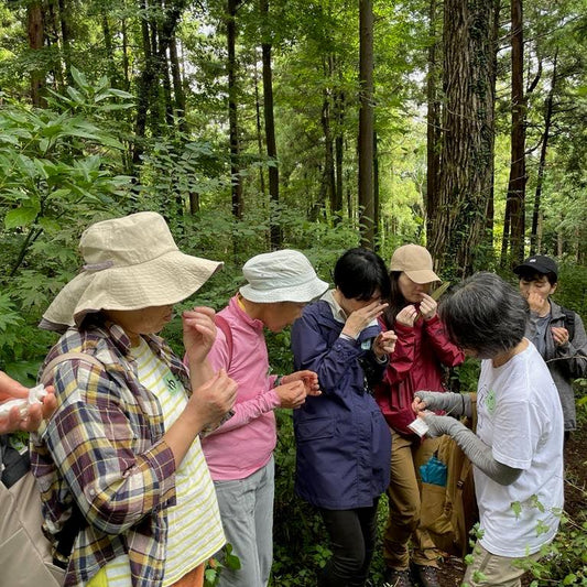 10月20日　プチ森林浴